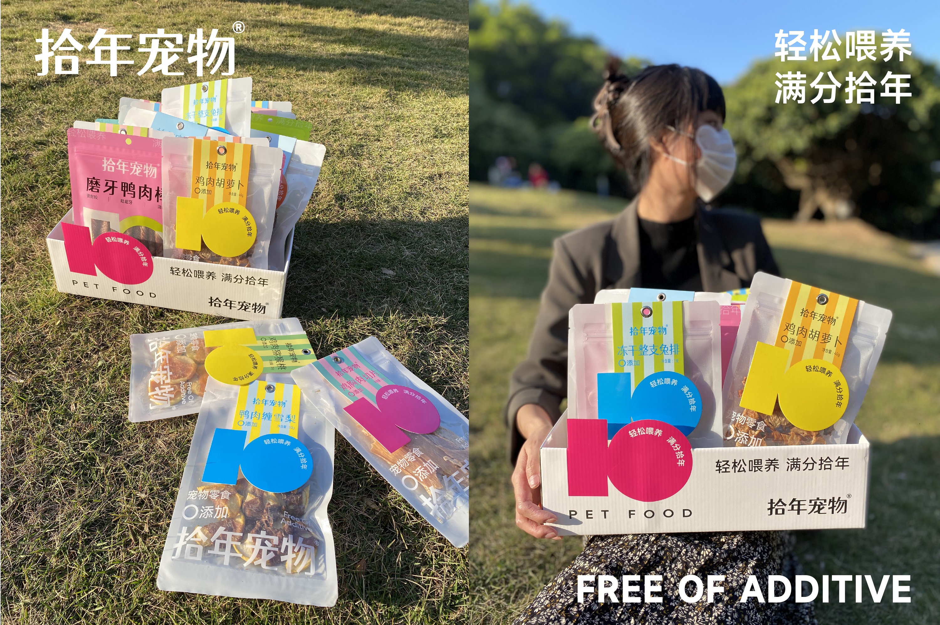 拾年宠物-品牌包装系统设计