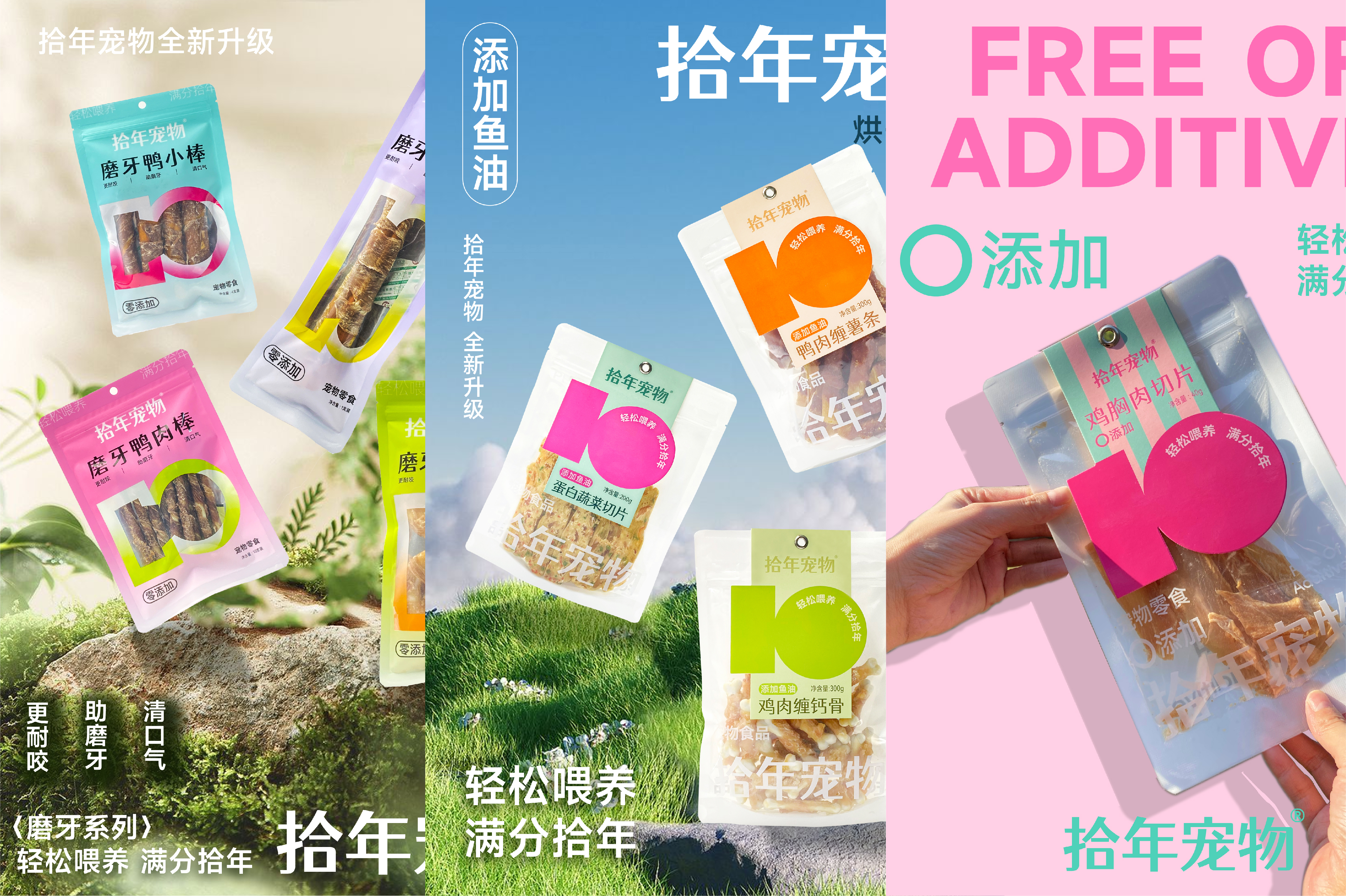 拾年宠物-品牌包装系统设计