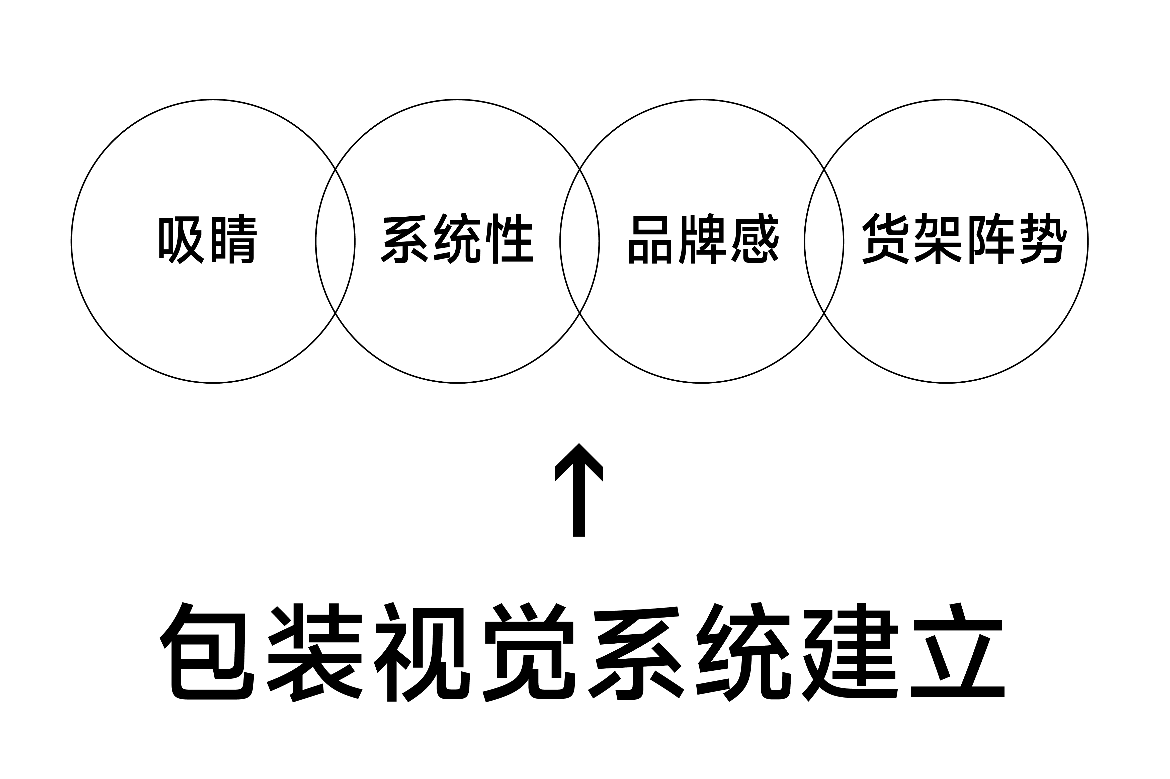 拾年宠物-品牌包装系统设计