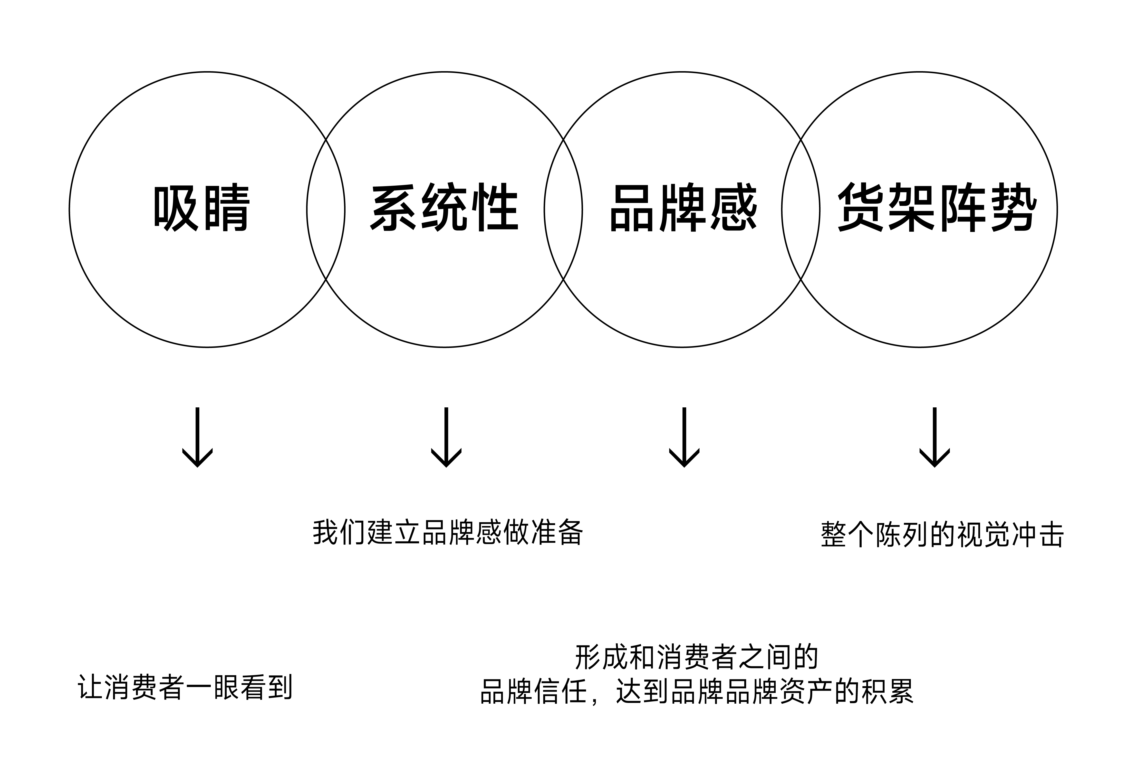 拾年宠物-品牌包装系统设计