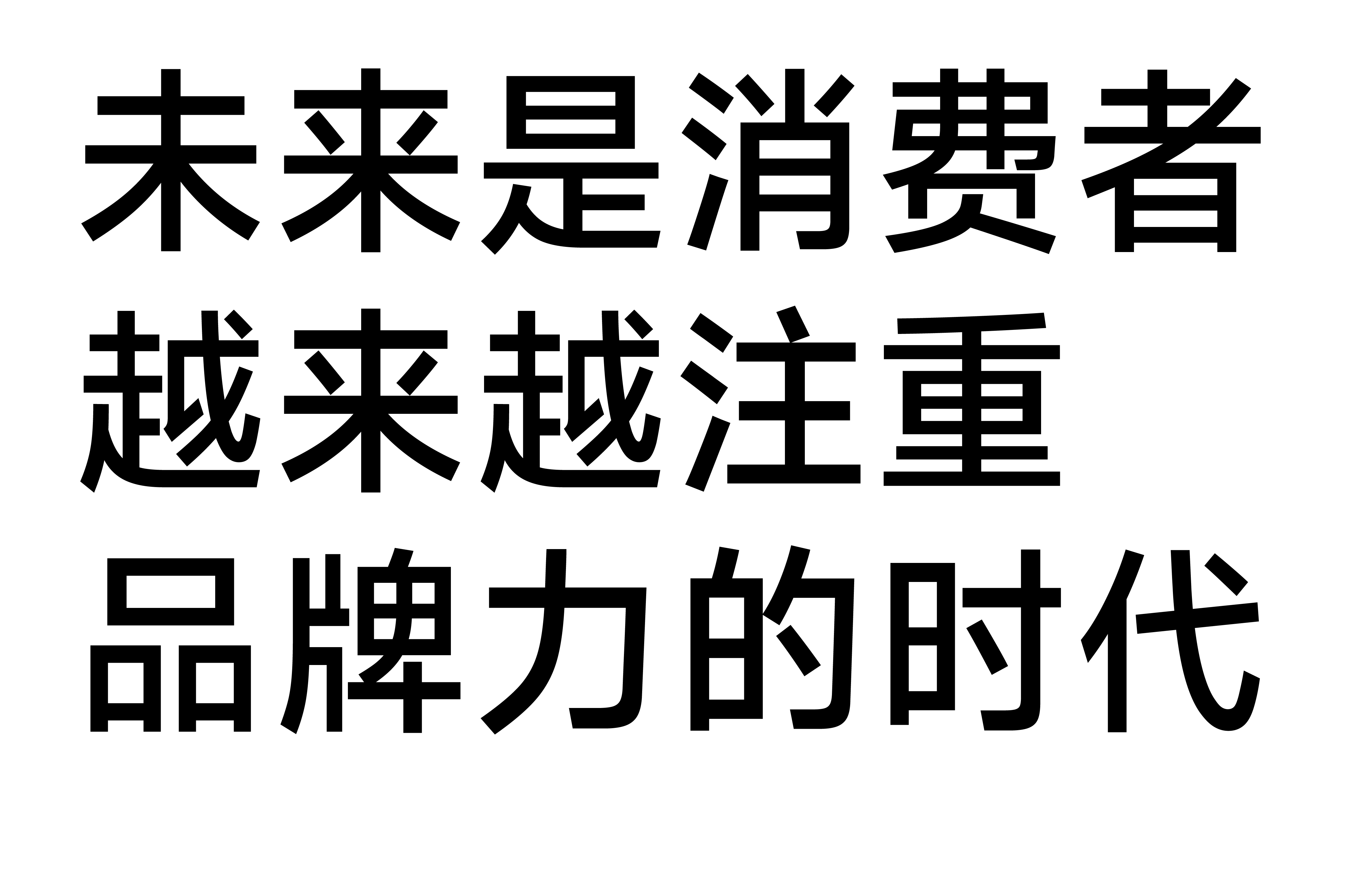 拾年宠物-品牌包装系统设计
