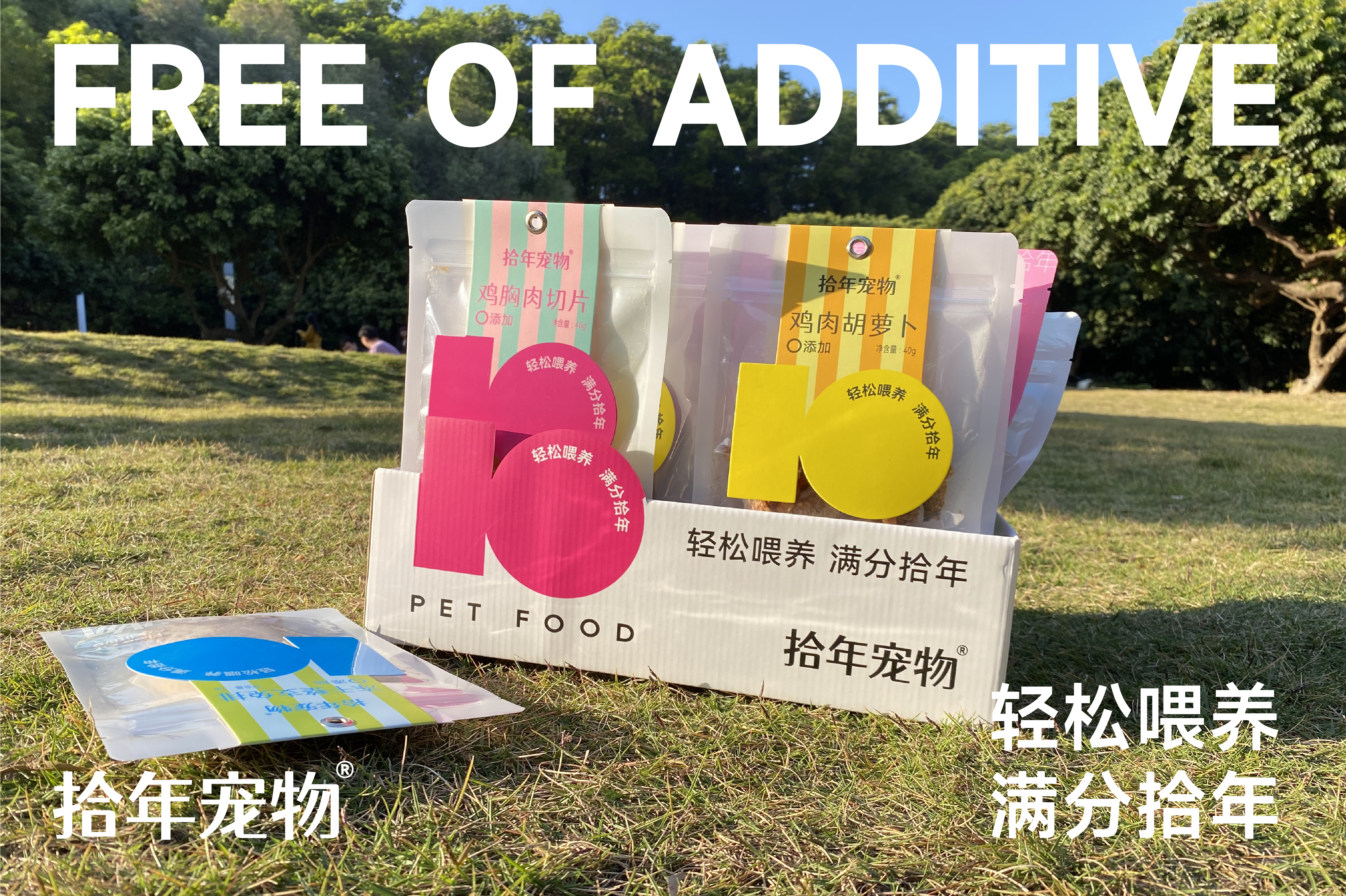 拾年宠物-品牌包装系统设计