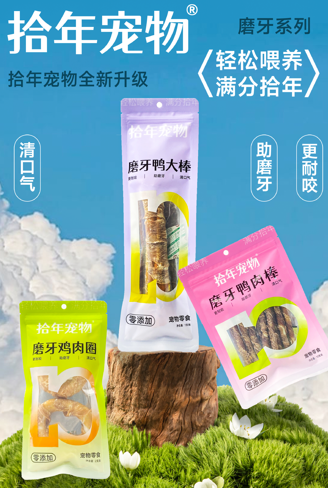 拾年宠物｜品牌包装设计